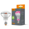 LED lamp VIDEX Filament R80FF 09W E27 1200K - photo 
