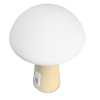LED лампа настiльна з акумулятором VIDEX VL-TF25BG 4W 3000-6500K+RGB Beige - фото №6
