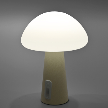 LED лампа настiльна з акумулятором VIDEX VL-TF25BG 4W 3000-6500K+RGB Beige - фото №7