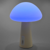 LED лампа настiльна з акумулятором VIDEX VL-TF25BG 4W 3000-6500K+RGB Beige - фото №21