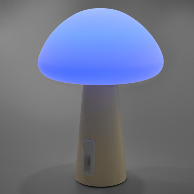 LED лампа настiльна з акумулятором VIDEX VL-TF25BG 4W 3000-6500K+RGB Beige - фото №21