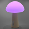 LED лампа настiльна з акумулятором VIDEX VL-TF25BG 4W 3000-6500K+RGB Beige - фото №22