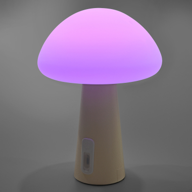 LED лампа настiльна з акумулятором VIDEX VL-TF25BG 4W 3000-6500K+RGB Beige - фото №22