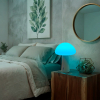 LED лампа настiльна з акумулятором VIDEX VL-TF25BG 4W 3000-6500K+RGB Beige - фото №23